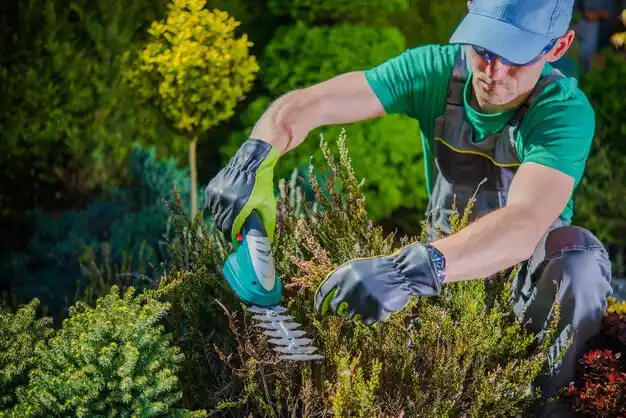 landscaping services Bay View